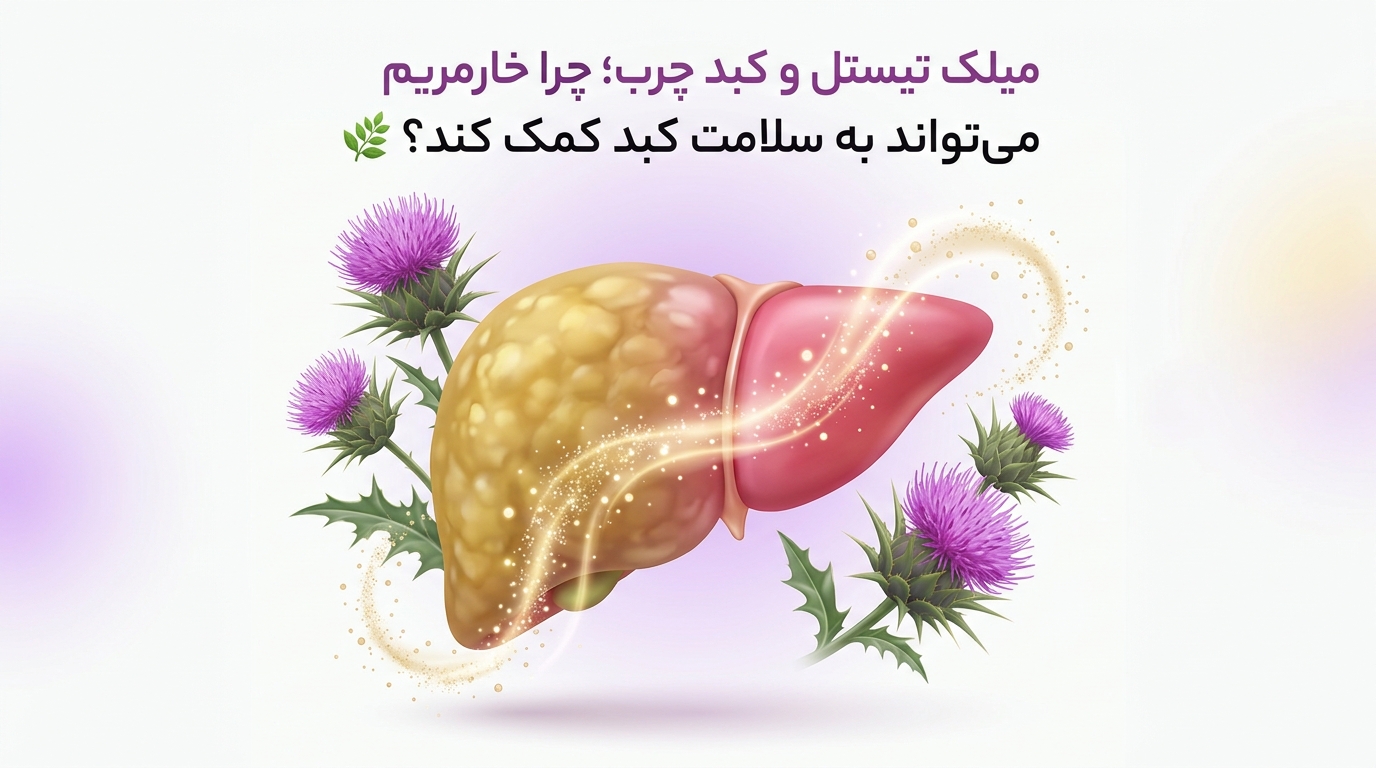 میلک تیستل و کبد چرب؛ چرا خارمریم می‌تواند به سلامت کبد کمک کند؟